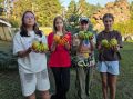 Томат амурской школьницы вошёл в топ-20 самых гигантских в России