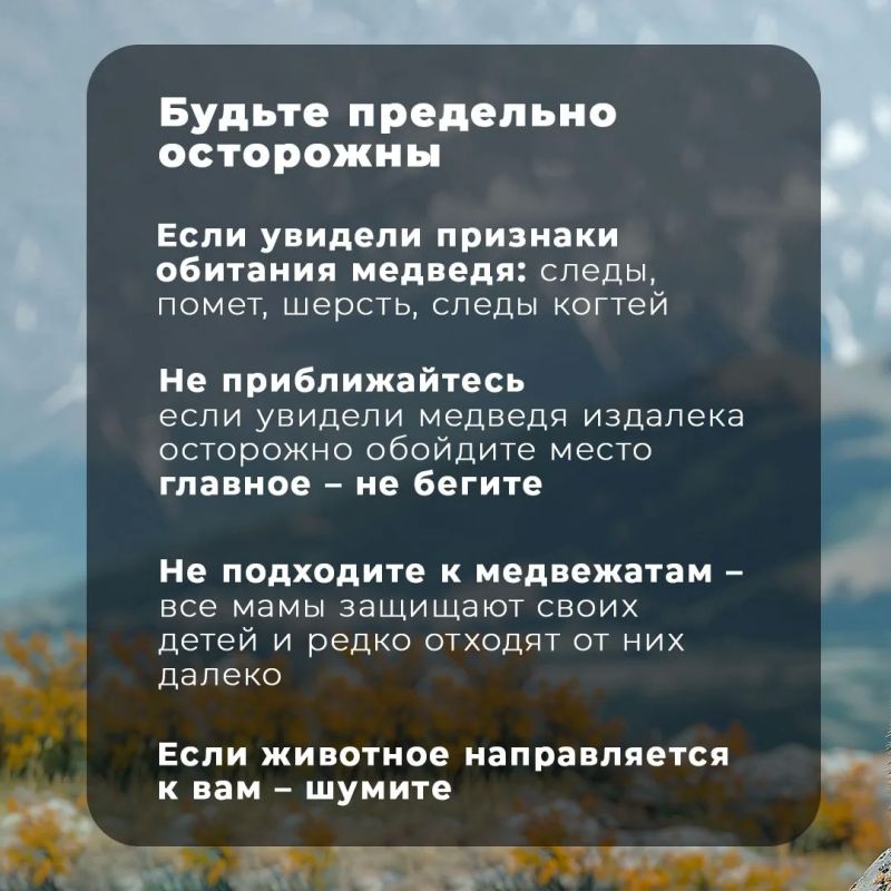 Специалисты амурского управления МЧС России напоминают о правилах безопасности при встрече с медведем в лесу Специалисты амурского управления МЧС России напоминают о правилах безопасности при встрече с медведем в лесу