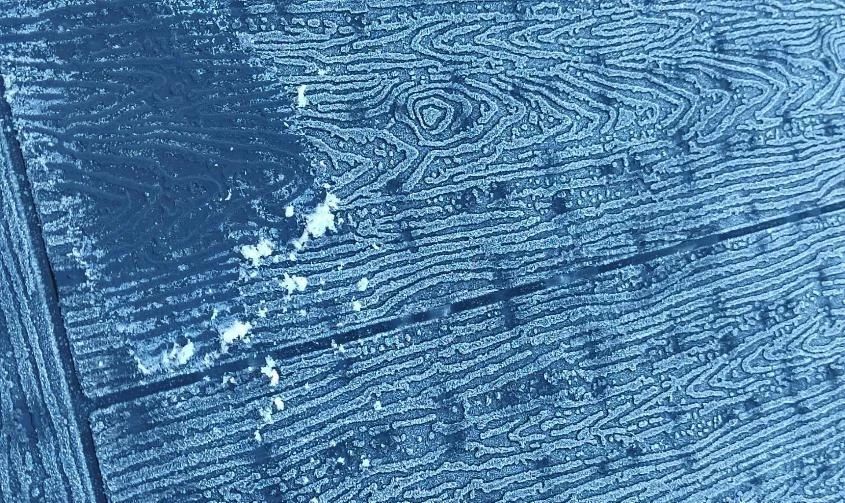 Жителей центральных и южных районов Приамурья предупреждают о заморозках