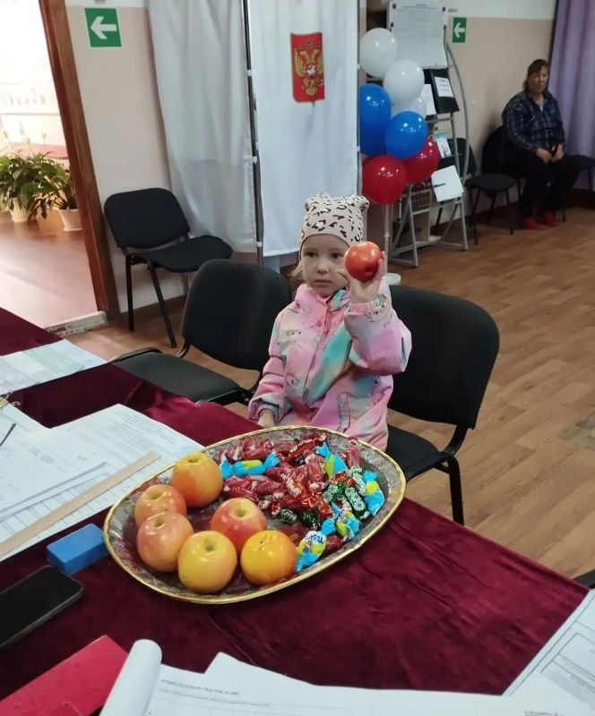 Амурчане голосуют на участках и на дому: в Амуризбиркоме подсчитали явку Амурчане голосуют на участках и на дому: в Амуризбиркоме подсчитали явку