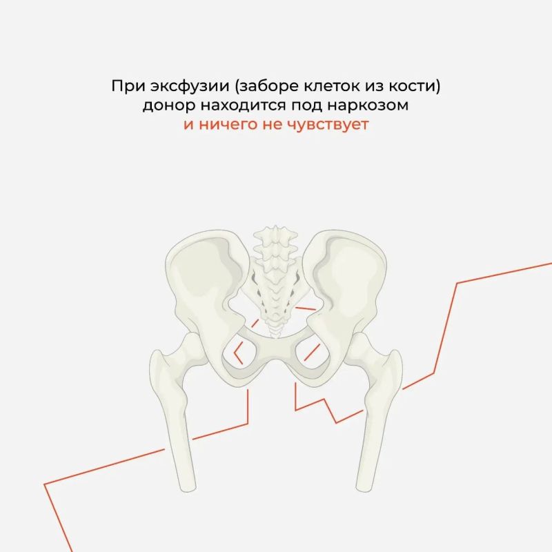 В преддверии Международного дня донора костного мозга Амурская областная станция переливания крови организует выездную донорскую акцию в Свободном В преддверии Международного дня донора костного мозга Амурская областная станция переливания крови организует выездную донорскую акцию в Свободном
