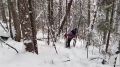 �������� ������ - ����� �����������: �������� ������ 170 ��������� �� �������� � �������� ������� ������