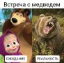 В социальных сетях амурчан в последнее время все чаще появляются сообщения о том, что медведей встречают вблизи сел и автодорог