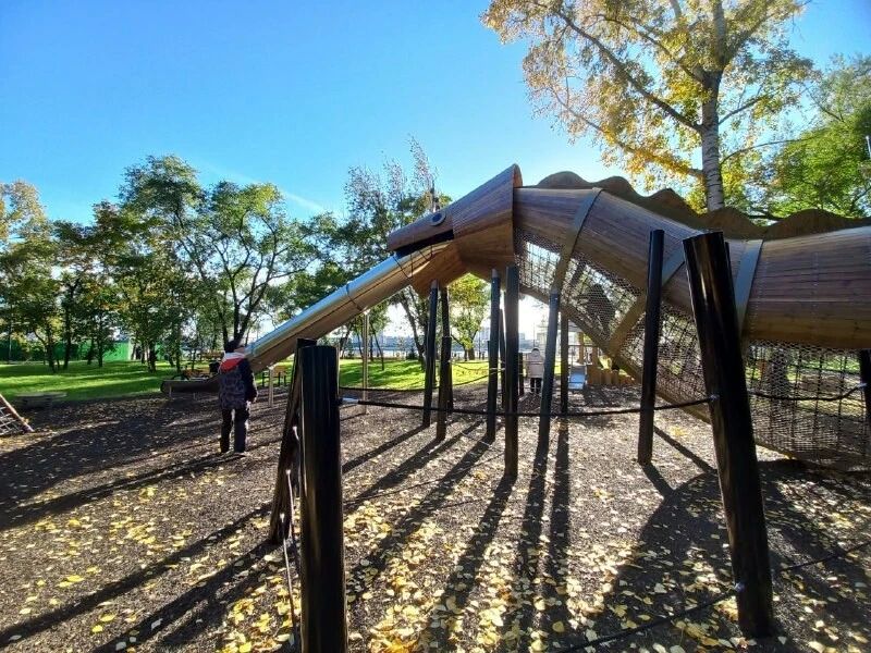 В амурской столице стала доступна для посетителей часть территории «Амурский лес», которую благоустраивают на месте бывшего сквера 40-летия ВЛКСМ, в народе более известного как «Сороконожка» В амурской столице стала доступна для посетителей часть территории «Амурский лес», которую благоустраивают на месте бывшего сквера 40-летия ВЛКСМ, в народе более известного как «Сороконожка»