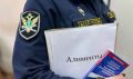 Амурчанка погасила долг по алиментам в 700 000 рублей под угрозой обязательных работ
