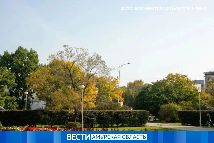 В Благовещенске начали убирать однолетники с городских клумб