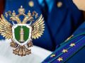 Прокуратура области добилась конфискации земельных участков, расположенных в с. Чигири Благовещенского муниципального округа, у гражданина, осужденного за хищение бюджетных средств