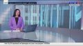 Медведи идут к людям: в Приамурье отстрелили 26 опасных хищников