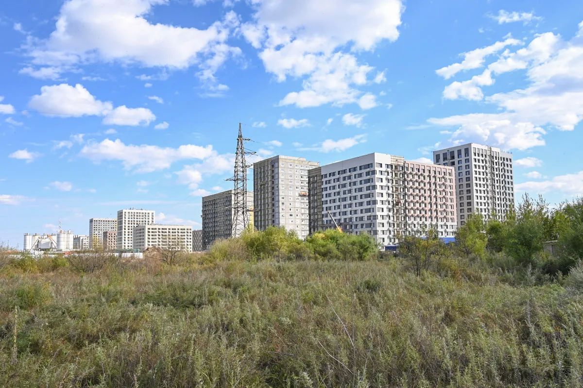 Как отследили и ликвидировали медведя в Благовещенске: «Амурская правда» побывала на месте ЧП Как отследили и ликвидировали медведя в Благовещенске: «Амурская правда» побывала на месте ЧП