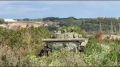 В Октябрьском округе полицейские и военные уничтожили 3 гектара дикорастущей конопли