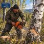 Житель Новобурейского незаконно вырубил почти сотню деревьев на 1,9 миллиона рублей