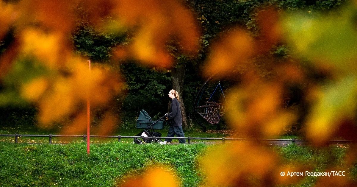 Амурская область в числе лидеров по доле рождений мальчиков в первую половину 2026 года