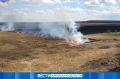 Подготовка к сезону огня: очищено около половины опасных участков