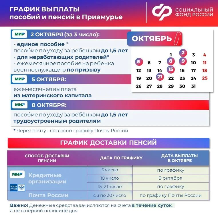 ГРАФИК ДОСТАВКИ выплат от Отделения СФР по Амурской области в ОКТЯБРЕ 2026 года