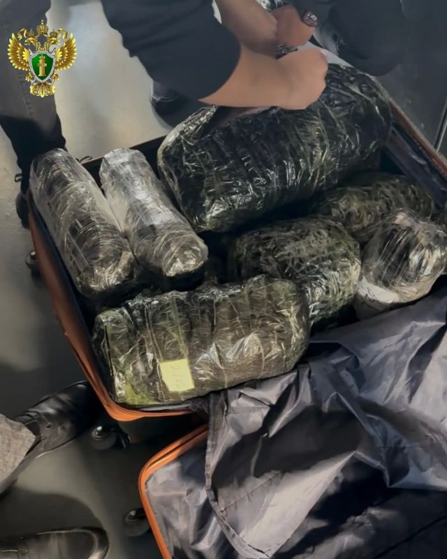 В Амурской области транспортная прокуратура взяла на контроль расследование уголовного дела по факту контрабанды корней дикорастущего женьшеня