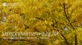 Курсы по видеосъемке, литературные вечера, музыкальные спектакли: где благовещенцы смогут отдохнуть на этой неделе