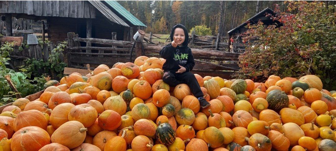 Гриб — всему голова: кто победил в фотоконкурсе «Амурский урожай» Гриб — всему голова: кто победил в фотоконкурсе «Амурский урожай»