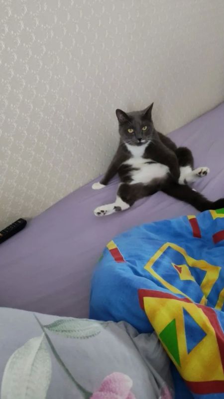 «Ну, ты это.. Дверь за собой закрой!»
