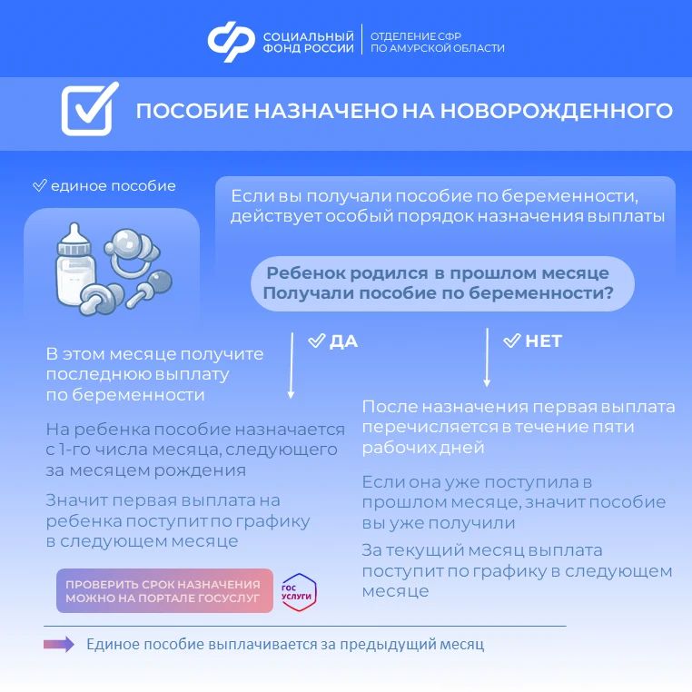 Если выплата не поступила в привычную дату: чек-лист Если выплата не поступила в привычную дату: чек-лист