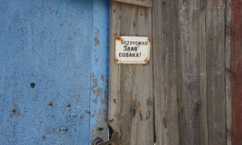 В селе Волково хозяйка собаки, напавшей на ребенка, выплатит его семье 25 000 рублей