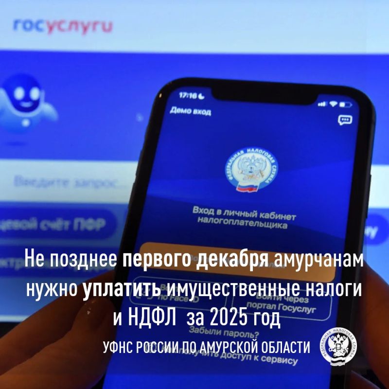 Налоги за 2025 год: срок до 1 декабря и что важно знать о новом НДФЛ