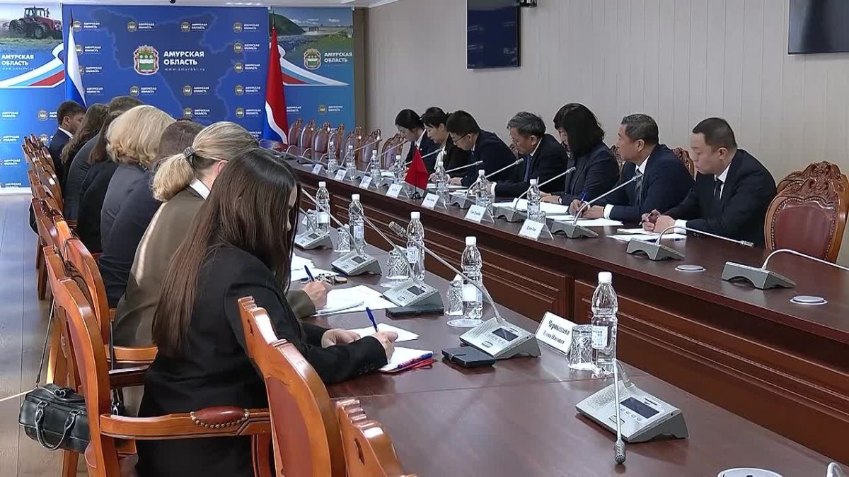 Амурская область и провинция Хэйлунцзян обсудили развитие трансграничной инфраструктуры и гуманитарное сотрудничество