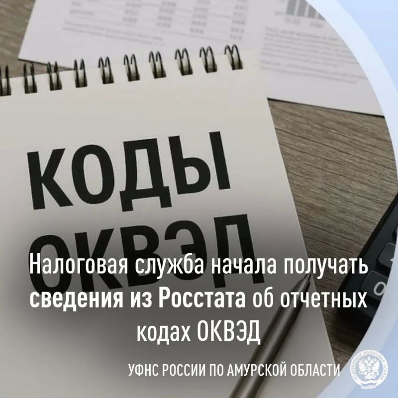 Сведения об отчётных кодах ОКВЭД теперь поступают в Налоговую службу из Росстата