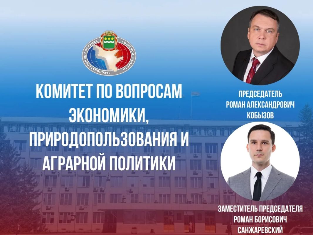 В Законодательном Собрании Амурской области сформированы четыре комитета В Законодательном Собрании Амурской области сформированы четыре комитета