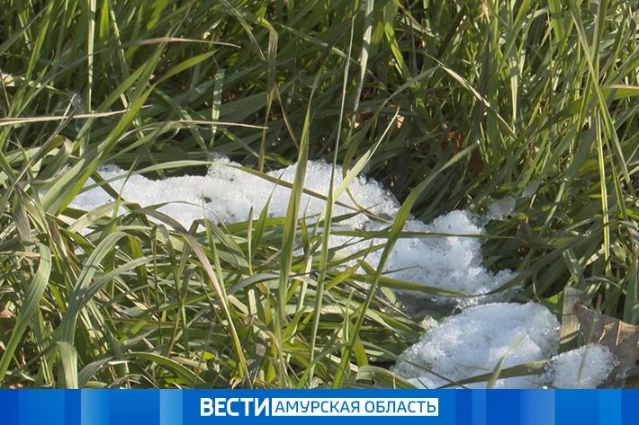Без осадков: прогноз погоды на 10 октября в Приамурье