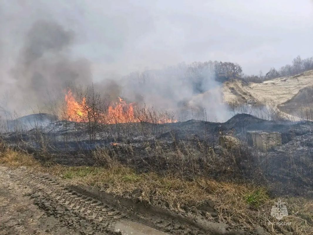 #СобытияМЧС28. В Амурской области за прошедшие сутки Потушено 10 пожаров (в том числе 3 горения сухой растительности), на 3 из них привлекались силы и средства МЧС России: между селами Валуево и Червоная Армия Завитинского... #СобытияМЧС28. В Амурской области за прошедшие сутки Потушено 10 пожаров (в том числе 3 горения сухой растительности), на 3 из них привлекались силы и средства МЧС России: между селами Валуево и Червоная Армия Завитинского...