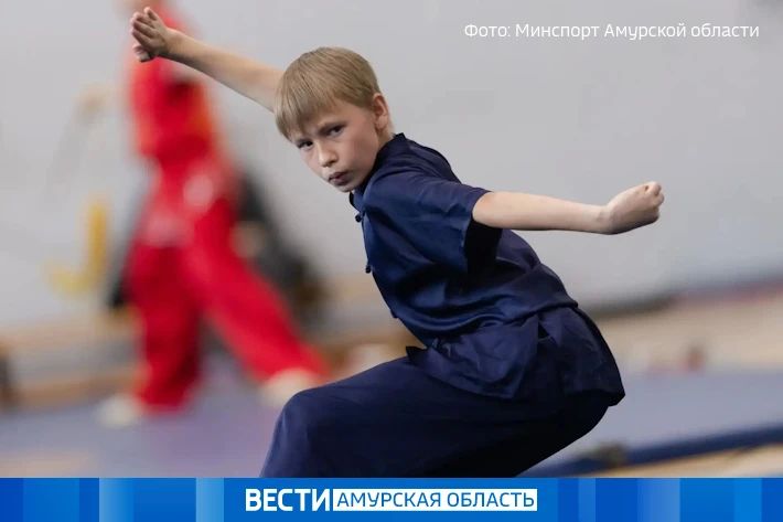 Летний фестиваль по ушу впервые пройдет на двух берегах Амура