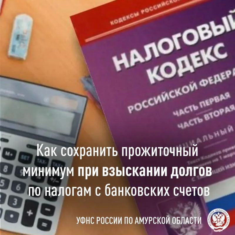 Как защитить прожиточный минимум при взыскании налоговых долгов