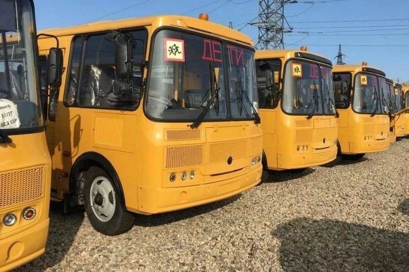 Амурская область получила 24 новых школьных автобуса по федеральной программе обновления автопарка