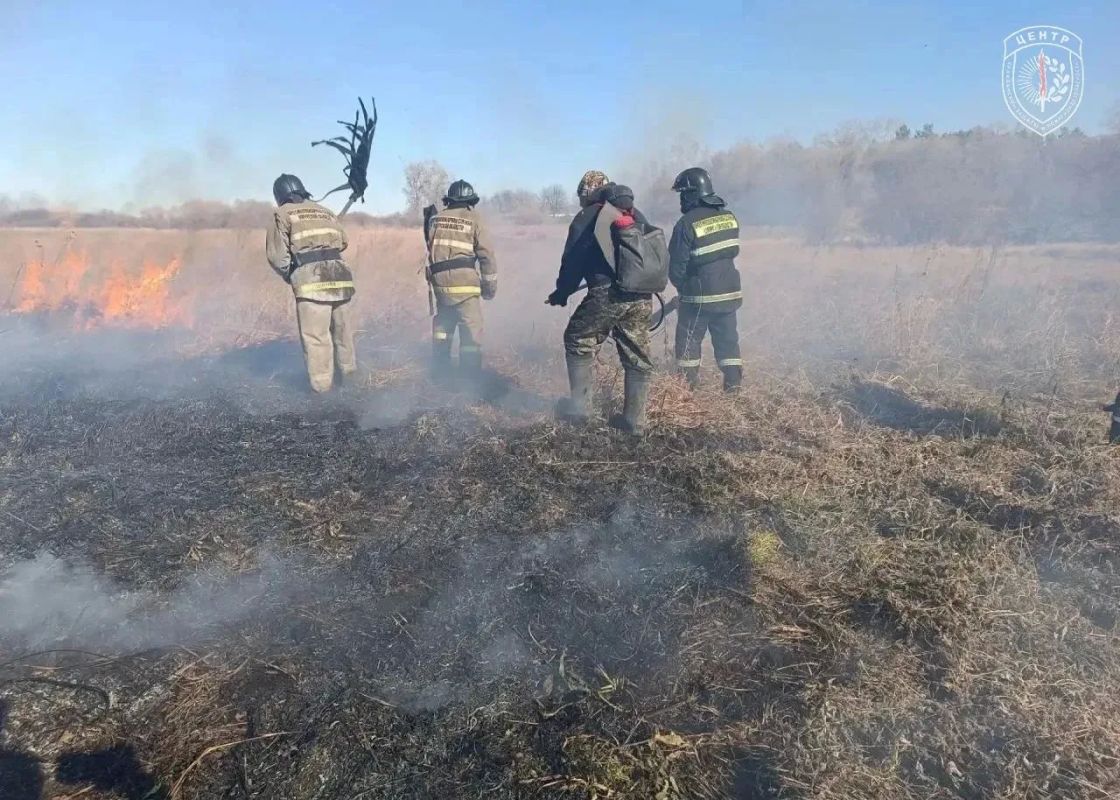 В Тамбовском округе ликвидировали пал на 150 гектарах, но на следующий день там снова подожгли траву