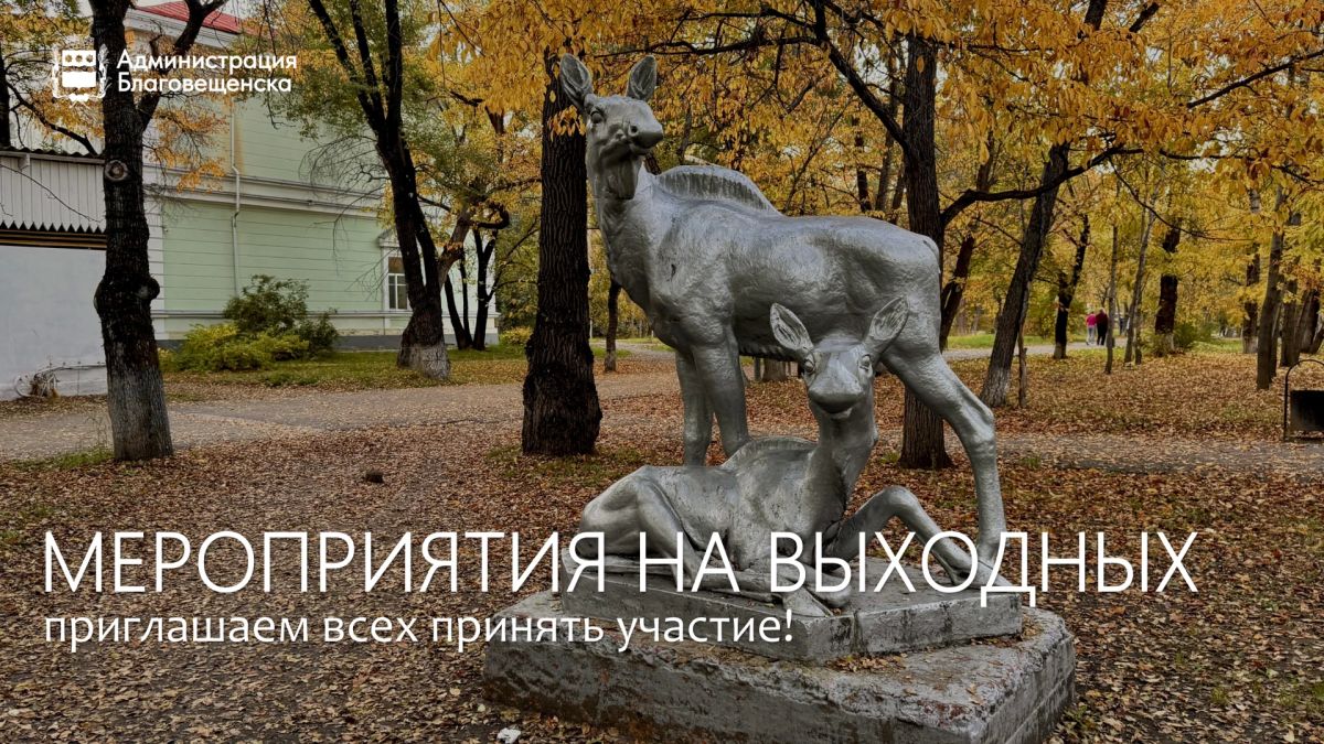 Кубок муй-тай, ЛистОпадный трейл, танцы для здоровья: куда сходить благовещенцам на этих выходных