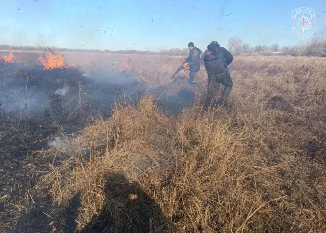 В Тамбовском округе ликвидировали пал на 150 гектарах, но на следующий день там снова подожгли траву В Тамбовском округе ликвидировали пал на 150 гектарах, но на следующий день там снова подожгли траву