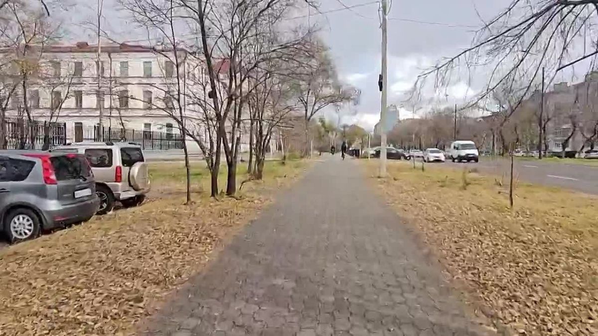Приамурье переодевается в белый наряд Снег всё активнее покрывает север региона, местами достигнув высоты в 12 сантиметров. Сегодня белые снежинки наведались и в столицу Амурской области. Если пропустили, мы засняли...