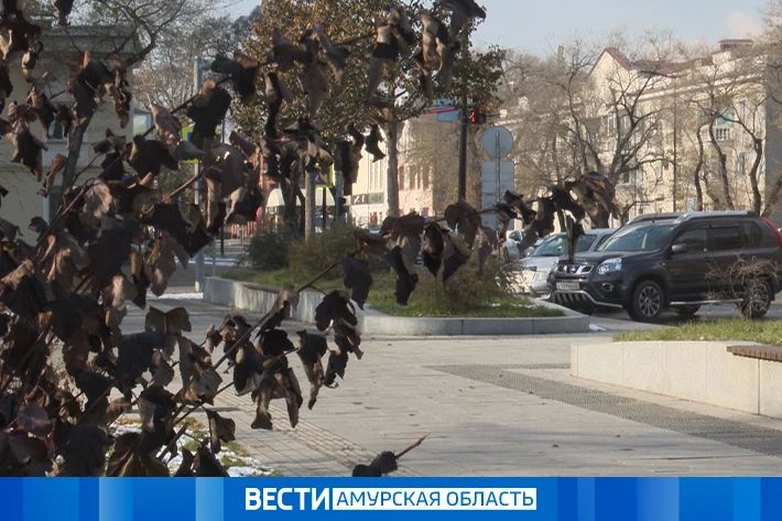 Снег на севере и дождь на юге: об итогах циклона и погоде на неделю