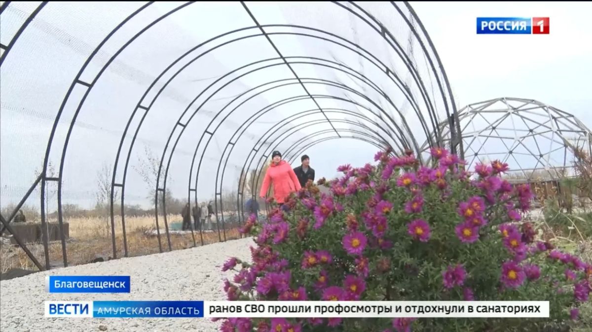 Сенсорный парк «Я чувствую»: как на окраине Благовещенска появился живой уголок здоровья