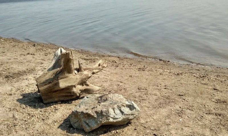 Золотодобытчик выпустил 2 100 мальков в реку Зею, чтобы компенсировать ущерб природе