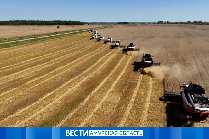 Два десятка молодых аграриев Приамурья получили выплаты за переезд в сёла
