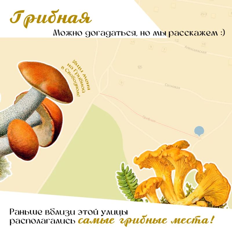 Словарь города Свободный. Друзья, мы запускаем новую, крайне познавательную историческую рубрику о нашем городе Словарь города Свободный. Друзья, мы запускаем новую, крайне познавательную историческую рубрику о нашем городе