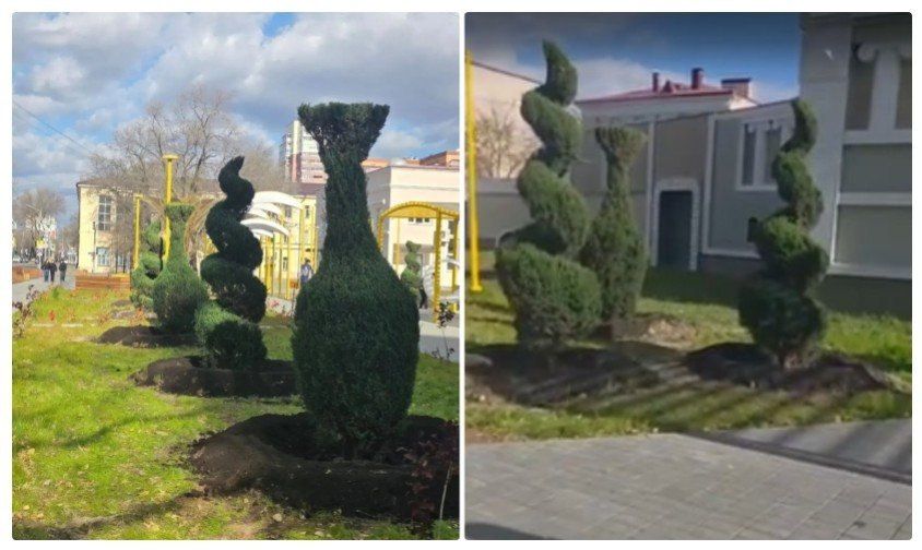 Необычные трехметровые деревья появились в «золотом» сквере Благовещенска