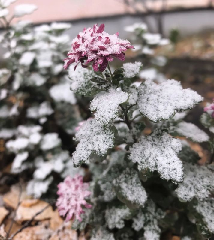 До Нового года 64 дня. Хабаровск -8 °C ночью