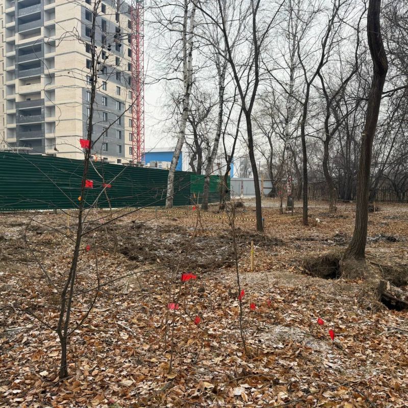 Олег Имамеев: Сегодня выехали в Левашовскую рощу — здесь стартовали работы по благоустройству Олег Имамеев: Сегодня выехали в Левашовскую рощу — здесь стартовали работы по благоустройству