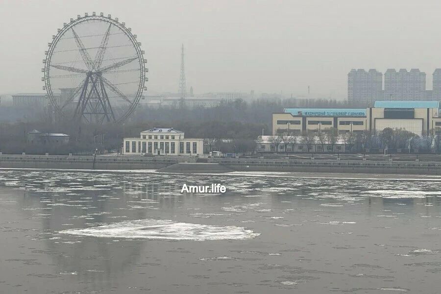 На приграничном Амуре утром 30 октября благовещенцы заметили ледоход На приграничном Амуре утром 30 октября благовещенцы заметили ледоход