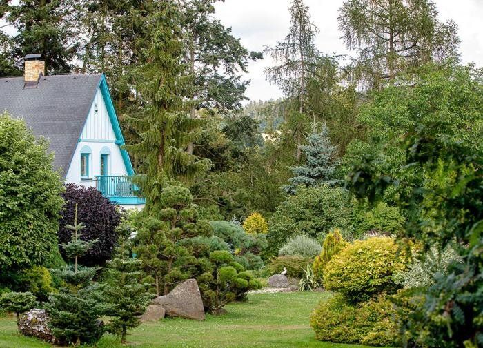 Необычный способ ухода за растениями: пакеты с водой на деревьях