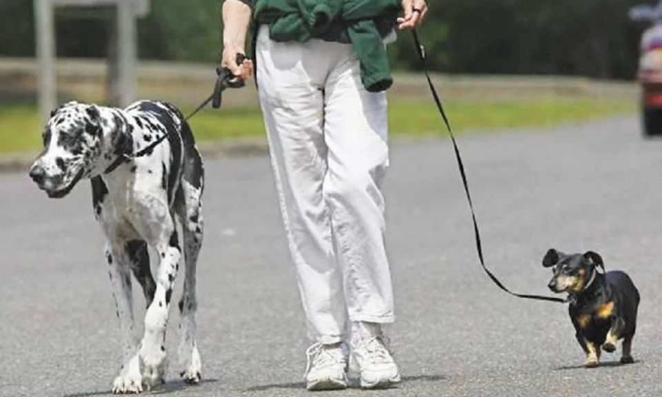 ���� ��������� ������� ��� ���������� �������� ��������