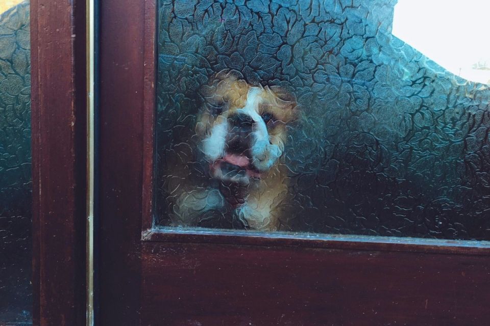 ��� ��������� ������� ������ � ��������� ���������: �������� ������