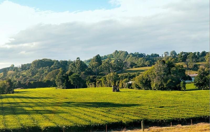 ������ �������: ��������� �� ����� ���